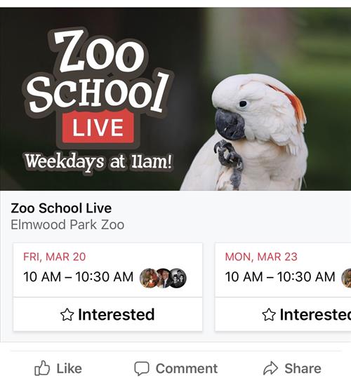 zoo 